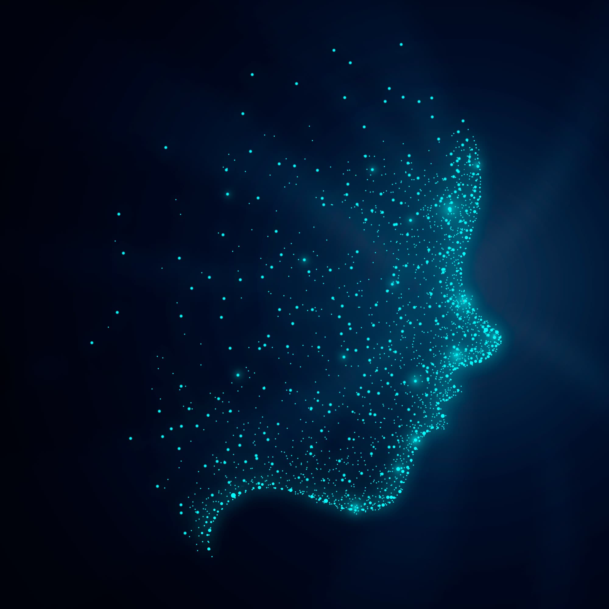 Consumer Electronics